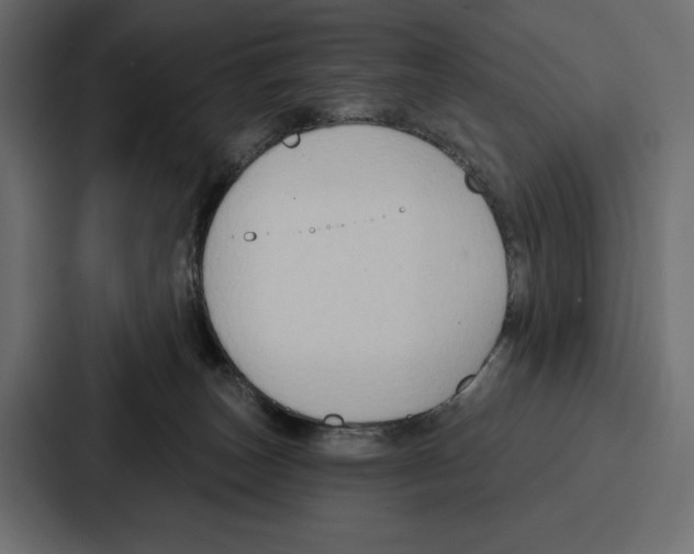X0000086800179200705111842