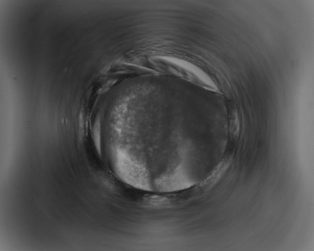 X0000086800180200705111842