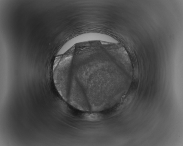 X0000086800181200705111842