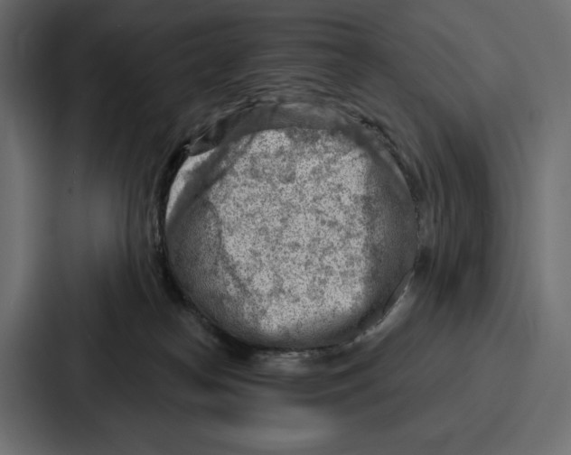 X0000086800182200705111842