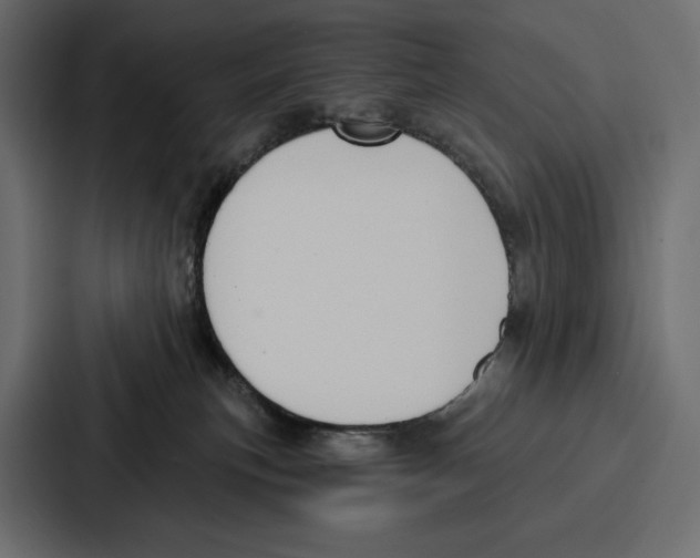 X0000086800183200705111842