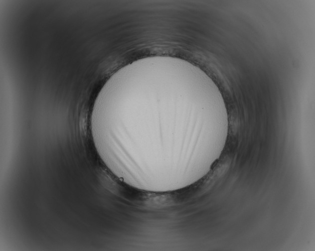 X0000086800185200705111843