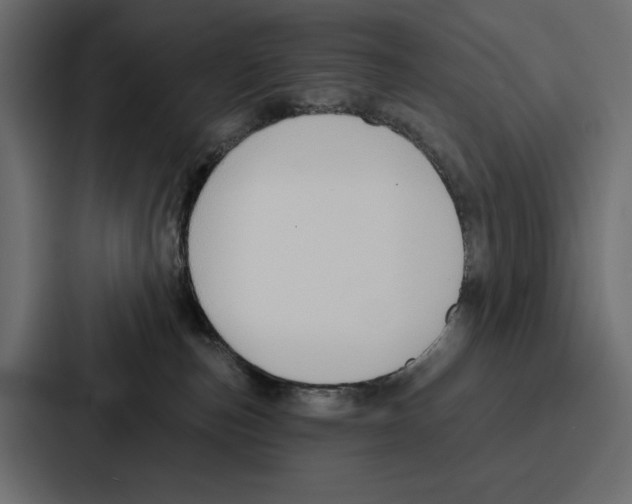 X0000086800187200705111843