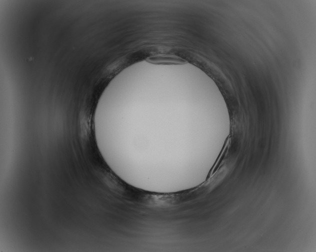 X0000086800188200705111843