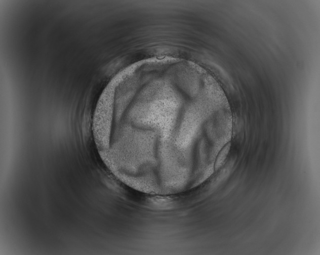 X0000086800189200705111843