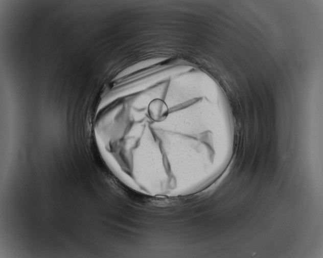 X0000086800190200705111843
