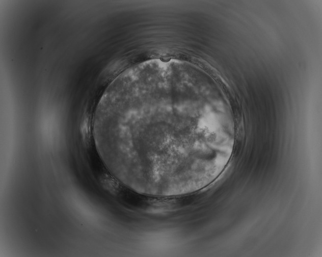 X0000086800191200705111843