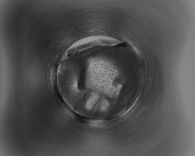 X0000086800192200705111843