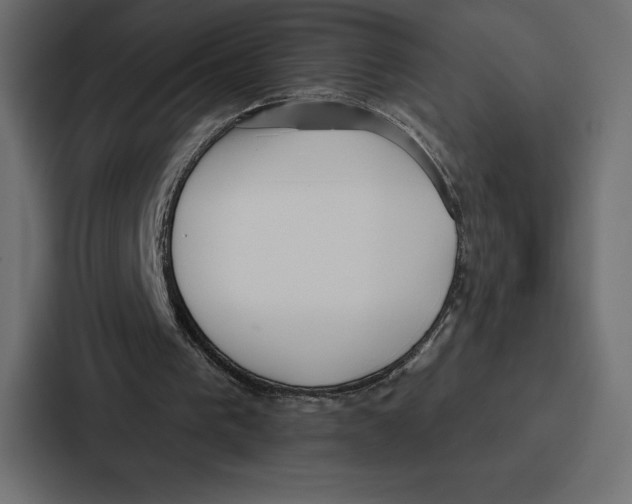X0000086800193200705111842