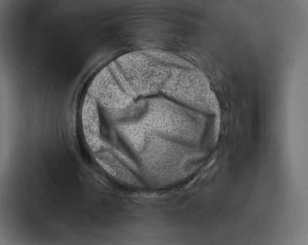 X0000086800194200705111842