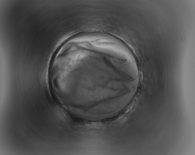 X0000086800196200705111842