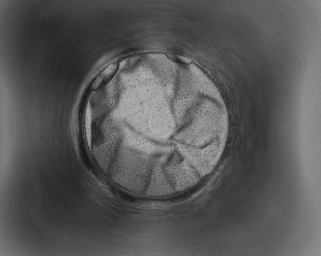 X0000086800198200705111842