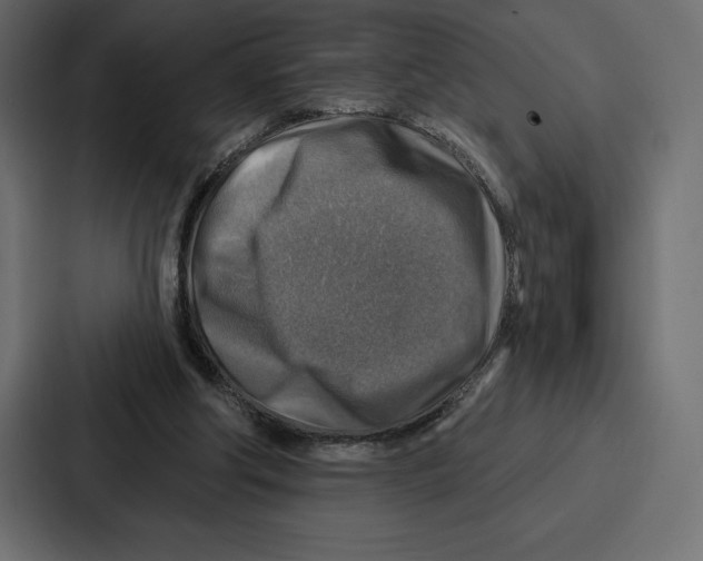X0000086800202200705111842