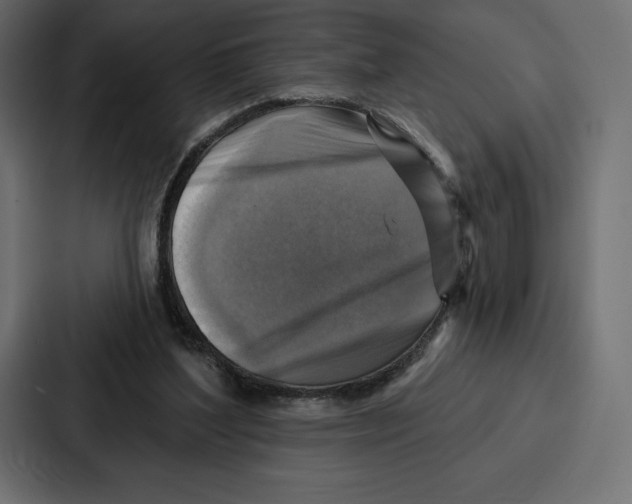 X0000086800204200705111842
