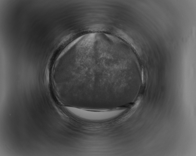 X0000086800205200705111842