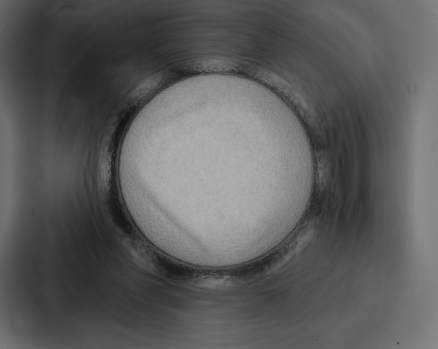 X0000086800206200705111842