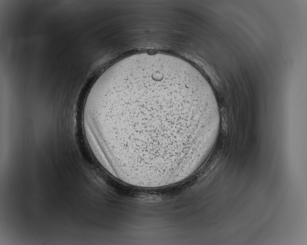 X0000086800207200705111842
