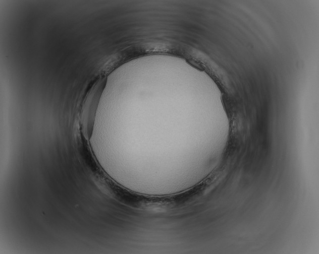 X0000086800209200705111842