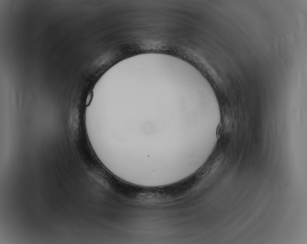X0000086800211200705111842