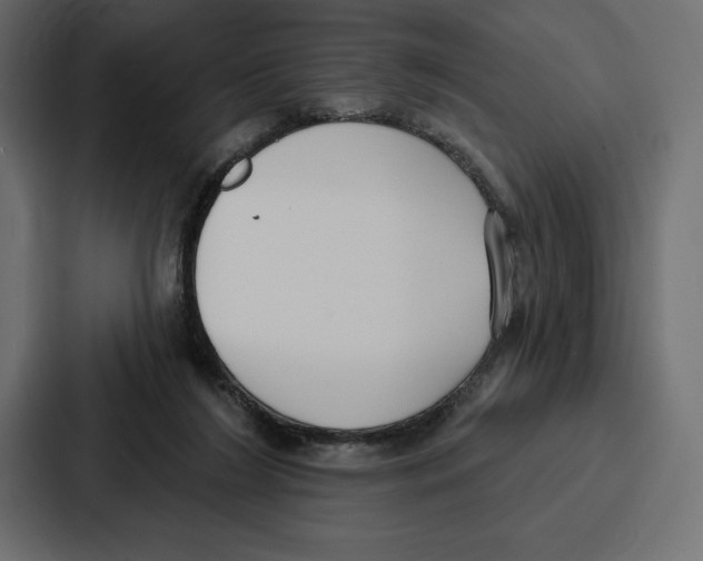 X0000086800212200705111842