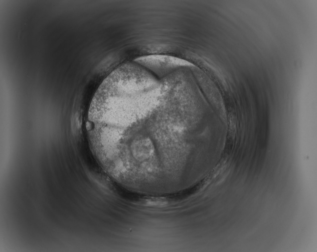 X0000086800214200705111842