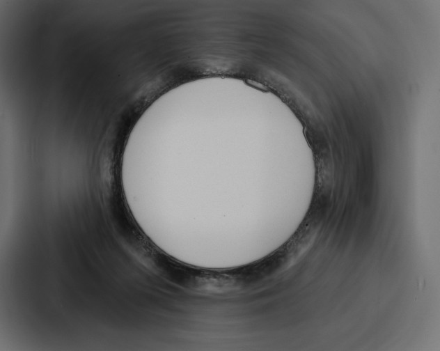 X0000086800215200705111842