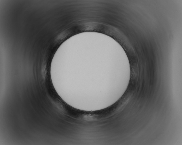 X0000086800216200705111842