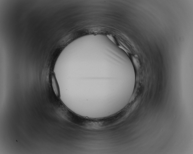 X0000086800217200705111842