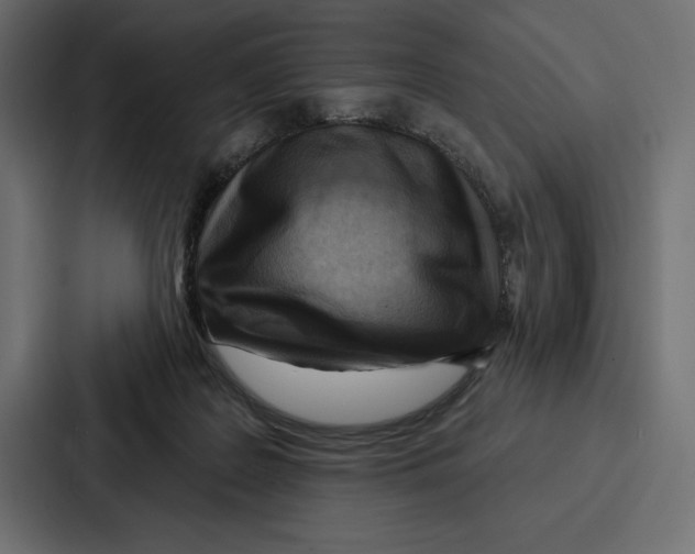X0000086800219200705111842