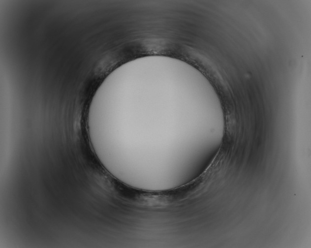 X0000086800221200705111842