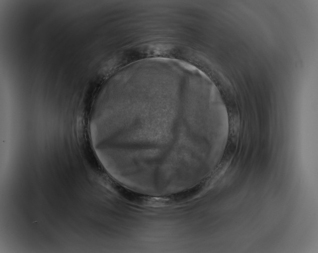 X0000086800222200705111842