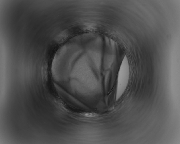 X0000086800223200705111842