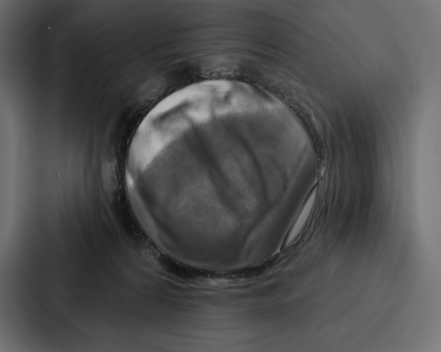 X0000086800224200705111842