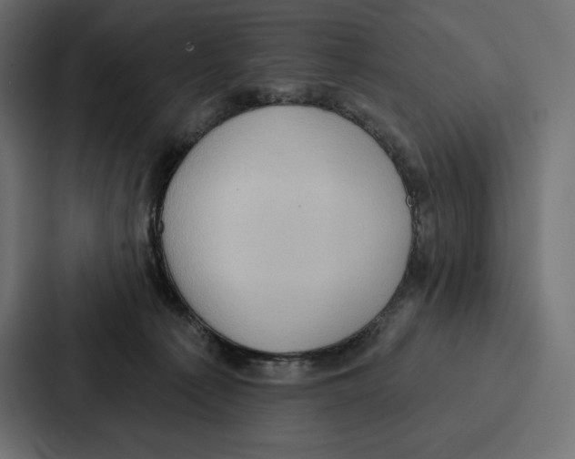 X0000086800225200705111842
