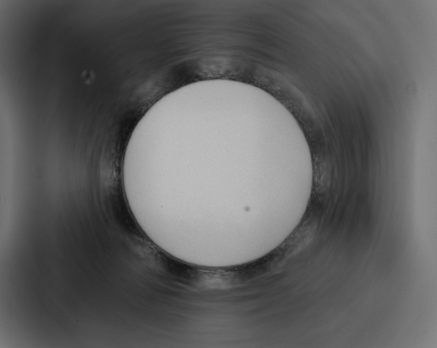 X0000086800226200705111842