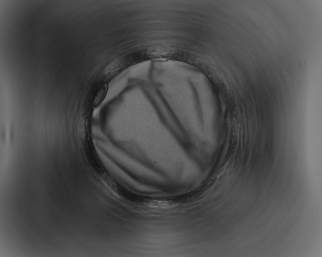 X0000086800227200705111842