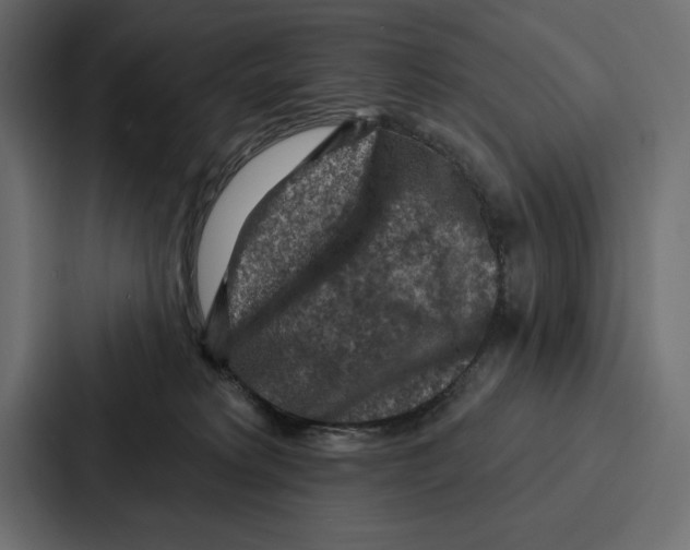 X0000086800229200705111842