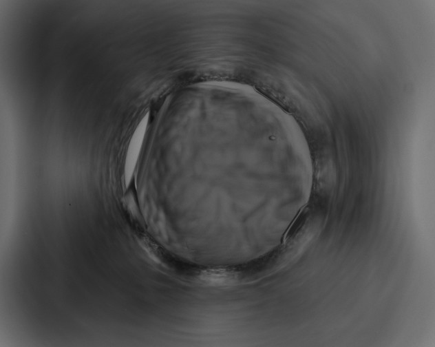X0000086800231200705111841