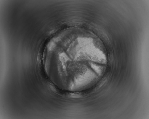 X0000086800232200705111841