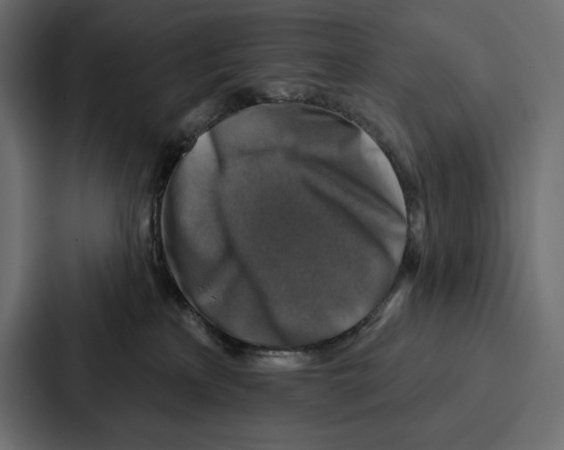 X0000086800233200705111841