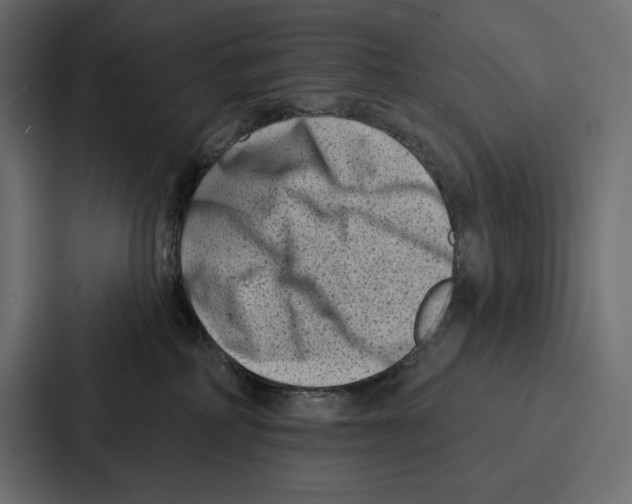 X0000086800234200705111841