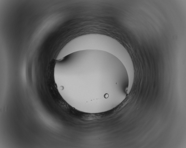 X0000086800239200705111841