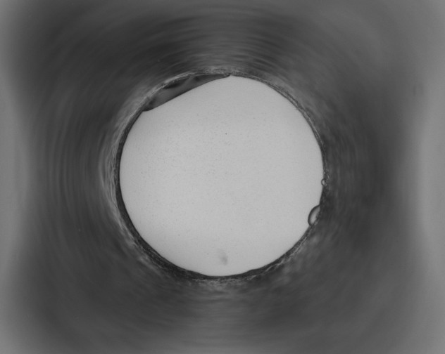 X0000086800241200705111841