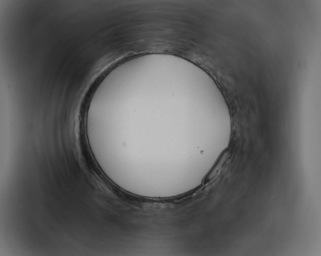 X0000086800242200705111841