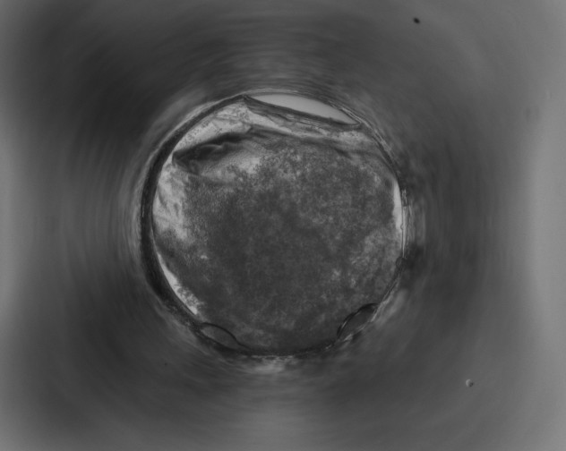 X0000086800243200705111841