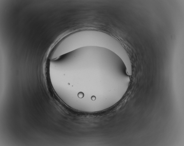 X0000086800244200705111841