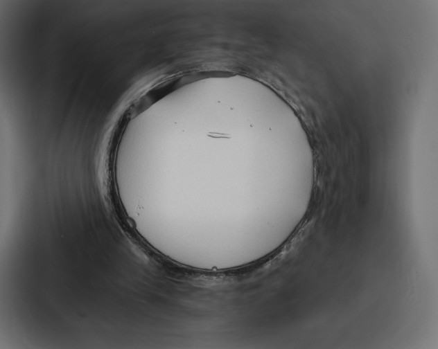 X0000086800245200705111841