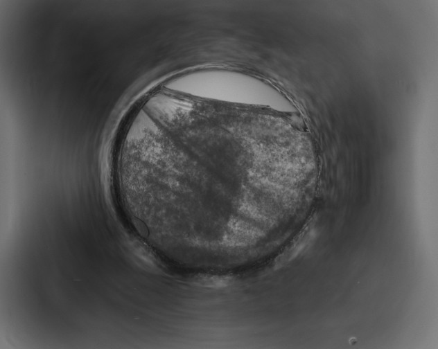 X0000086800247200705111841