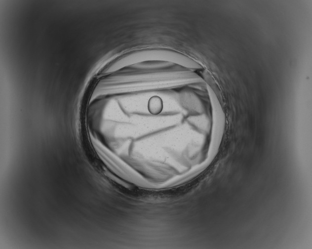 X0000086800248200705111841