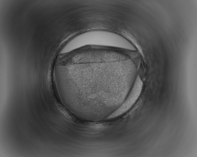 X0000086800249200705111841